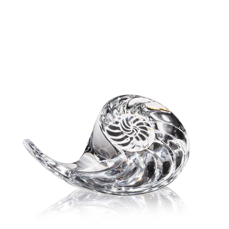 Nautilus Shell - The Emperor’s Lane