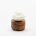 Spring Bud Diffuser, Petit - The Emperor’s Lane