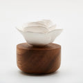 Spring Bud Diffuser, Petit - The Emperor’s Lane