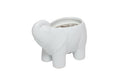 Teak Noir White Elephant - The Emperor’s Lane