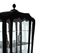 Palace Display Case - The Emperor’s Lane